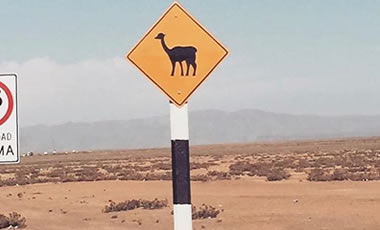 Trip to Peru 2 Weeks